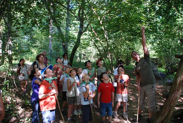 découverte de la forêt